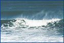 sea_the_wave.jpg (15962 bytes)